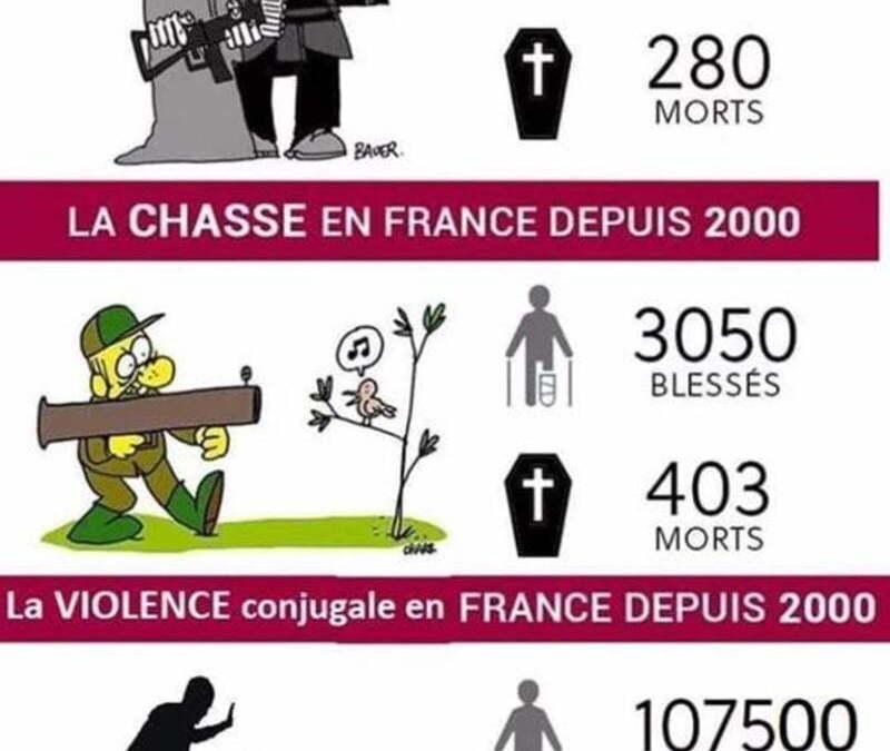 Statistiques anti-chasse.