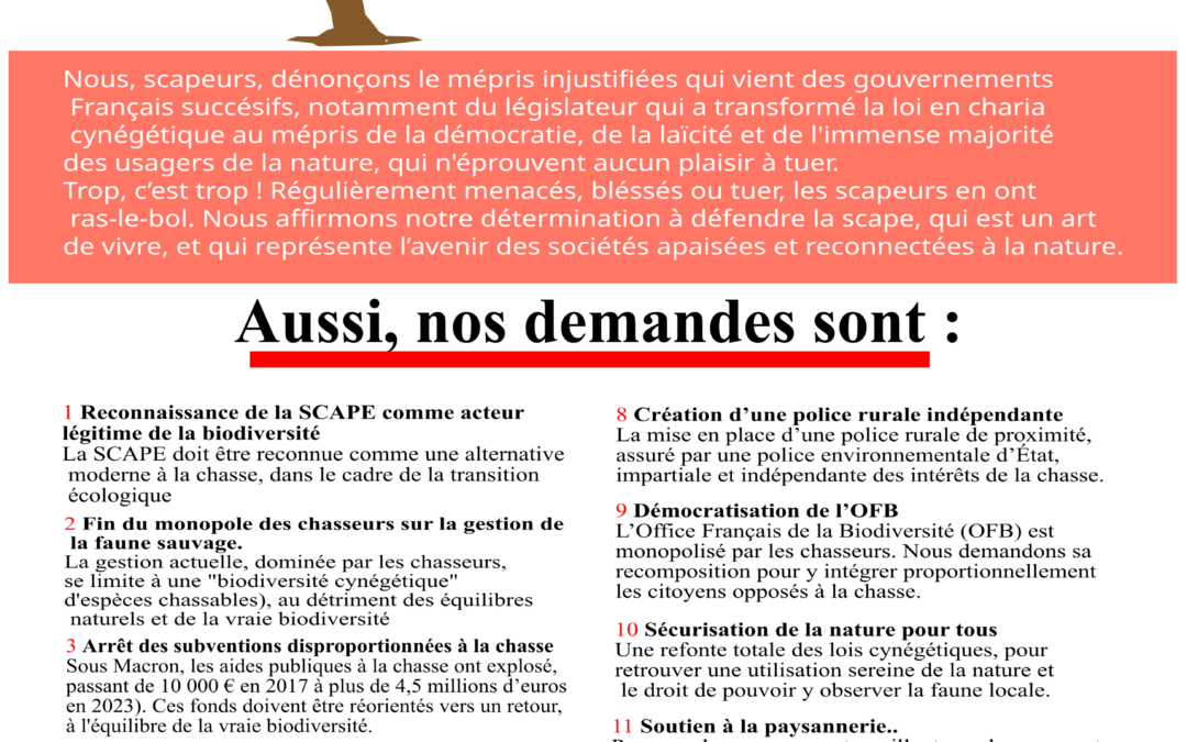 Affiche manifeste pour la scape